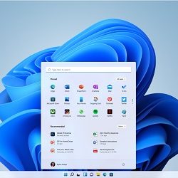 Windows 11